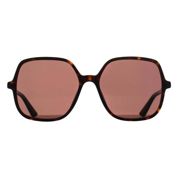 Chloe Sunglasses CH0362S 002 Dark Havana Brown