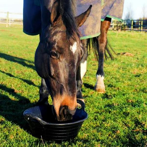 Ketoplastics Skip feed bucket feeder 11l in black pack of 5 integrated handles made of rubber flexible animal pet horse made in the UK