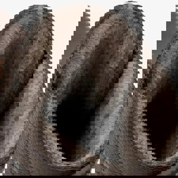 glasgow-c1_boots_Brown_10, glasgow-c1_boots_Brown_11, glasgow-c1_boots_Brown_12, glasgow-c1_boots_Brown_13, glasgow-c1_boots_Brown_6, glasgow-c1_boots_Brown_7, glasgow-c1_boots_Brown_8, glasgow-c1_boots_Brown_9