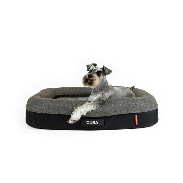 EzyDog Calm Elite Orthopaedic 2 in 1 Design Dog Bed