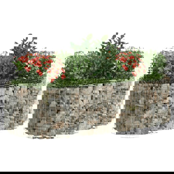 Berkfield Gabion Raised Bed Galvanised Iron 200x100x50 cm