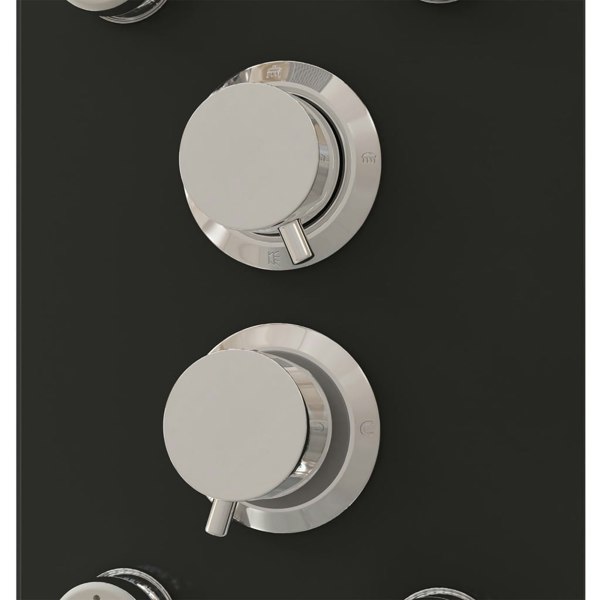 Berkfield Shower Panel Unit Glass 25x47.5x130 cm Black