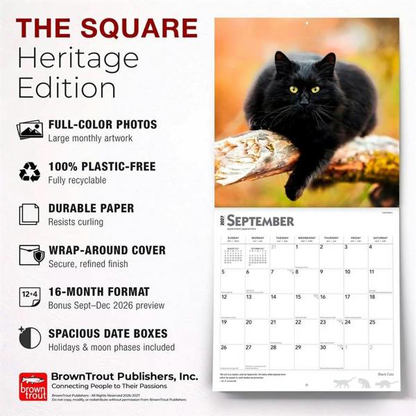 Black Cats Calendar 2027, Wall Calendars, Month To View, Cats, Gift