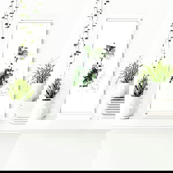 Pictures for bathroom walls | set of 3 wall art