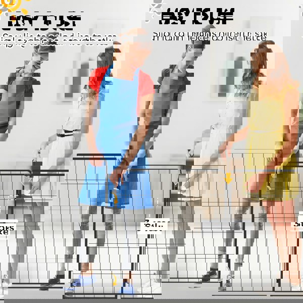 D06-253V01BK