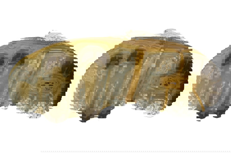 Nike Womens Air Vapormax 360 Ck9670  101 - White Metallic Gold Black 101 - Photo 4