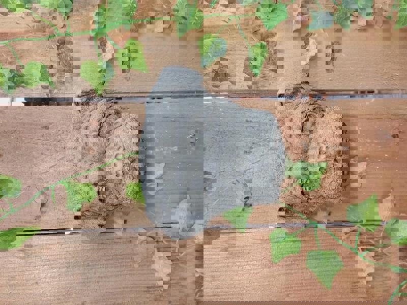 Adorable Bulldog Head Stone Wall Plaque