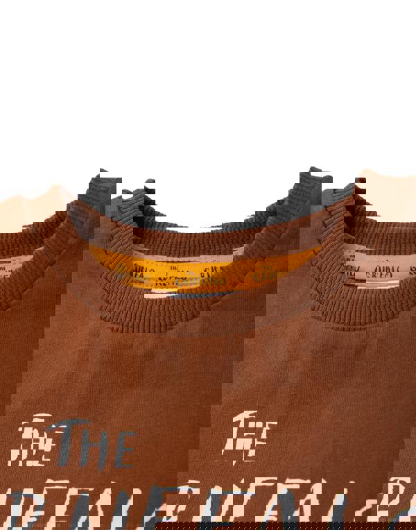 Gruffalo & Friends Unisex Kids Brown Big Face Short Sleeved T-Shirt