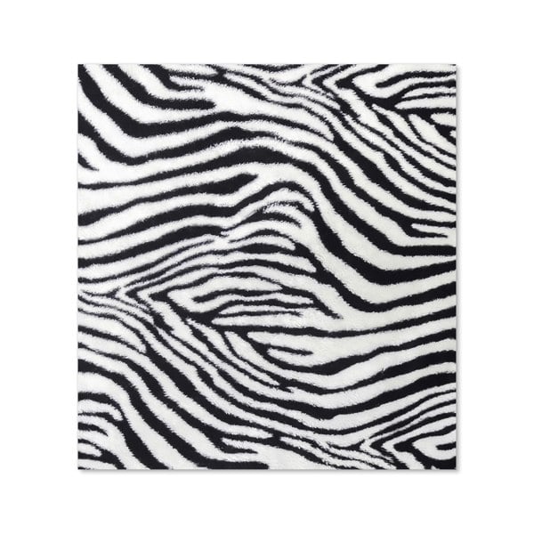 Warren Reed - Designer Zebra Texture Pattern Kitchen Splashback