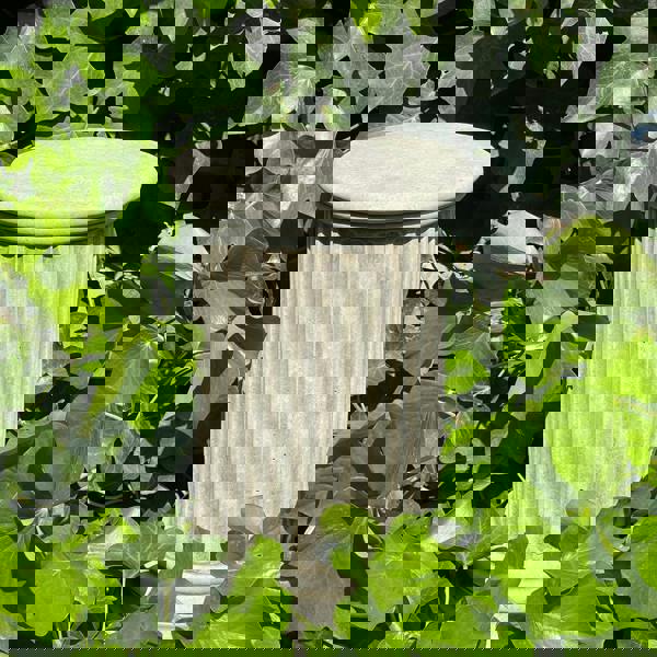 Simple Roman Style Short Pillar Column