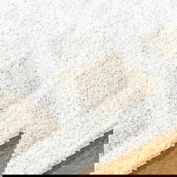 Livabliss Fossay Shag-Washable Beige Modern High Pile Rug
