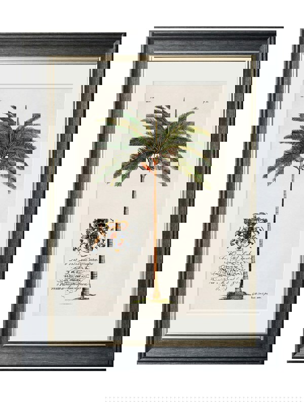 Exceptional Art Studies of Palms