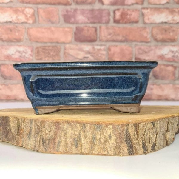 Yorkshire Bonsai 16cm Glazed Bonsai Pot | Rectangle | 16cm x 13cm x 6cm | Blue
