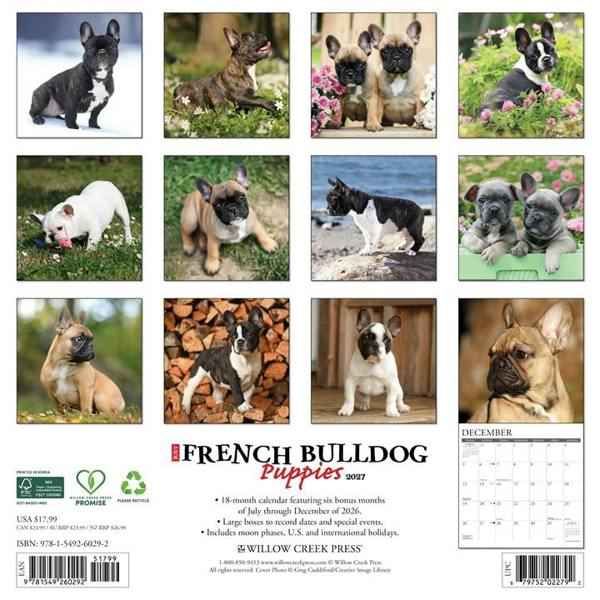 Just French Bulldog Puppies Calendar 2027, Wall Calendars, Month To View, Dogs, Gift