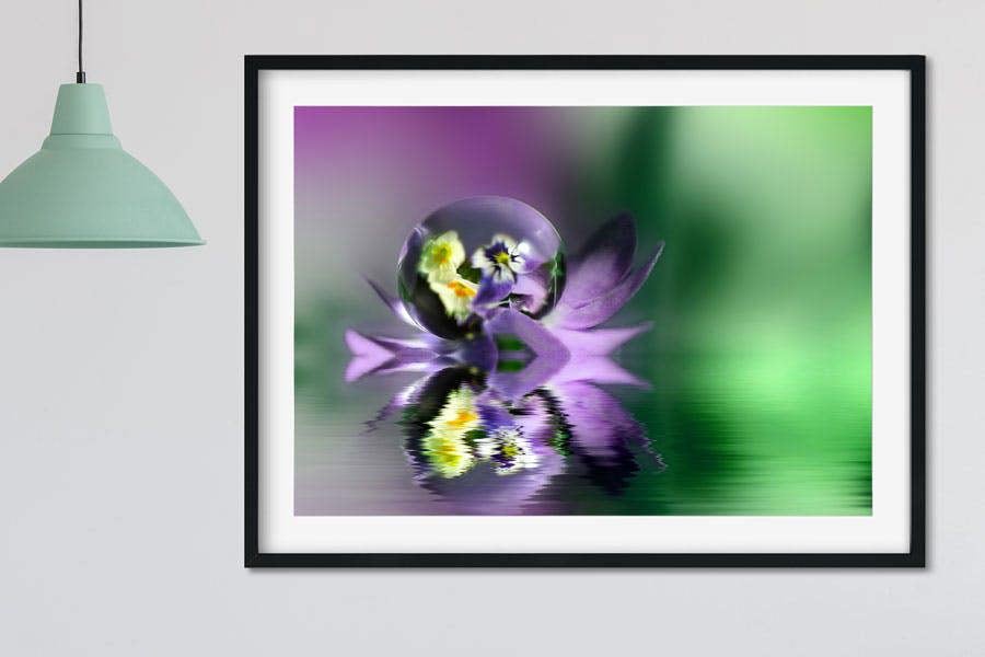 water drops on flower petals art