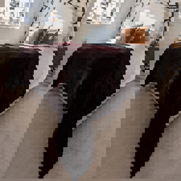 Snug City Soft & Warm Mink Throw Blanket