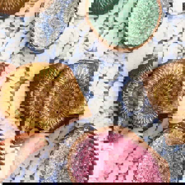 CHOC ON CHOC Chocolate Fossils And Amethyst