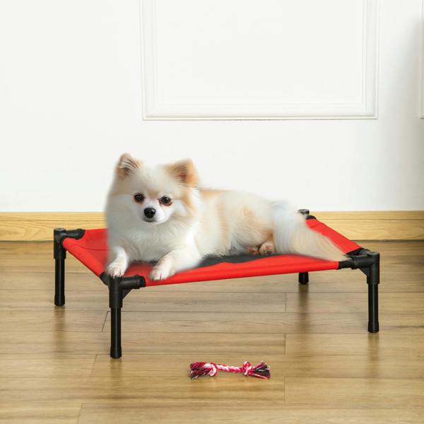 Elevated Dog Bed
