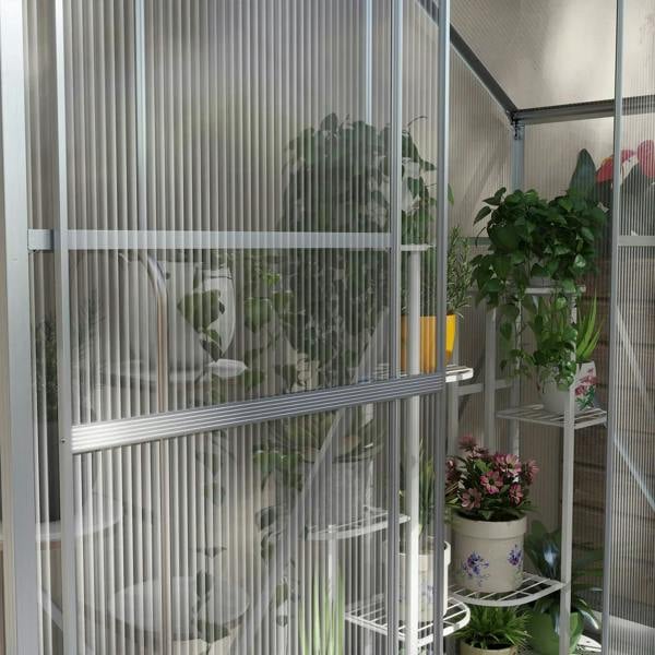 Walk-in greenhouse interior with clear panels, silver frame, and shelving