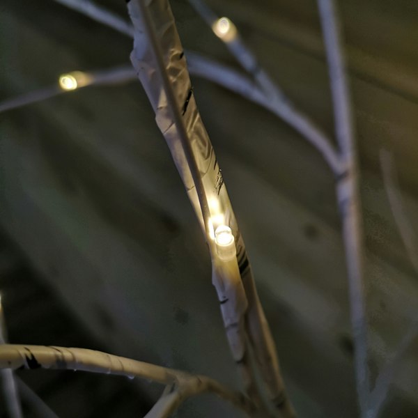 Samuel Alexander 1.5m (5ft) Indoor Outdoor Christmas Lit Birch Tree with 64 Warm White LEDs