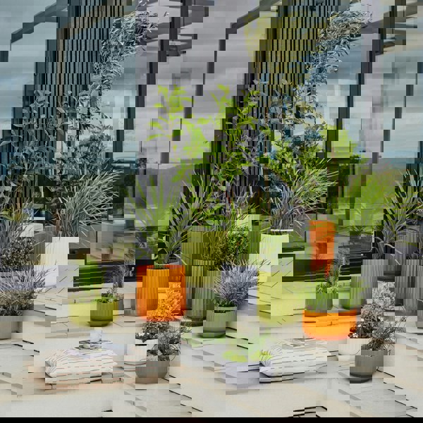 #color_green