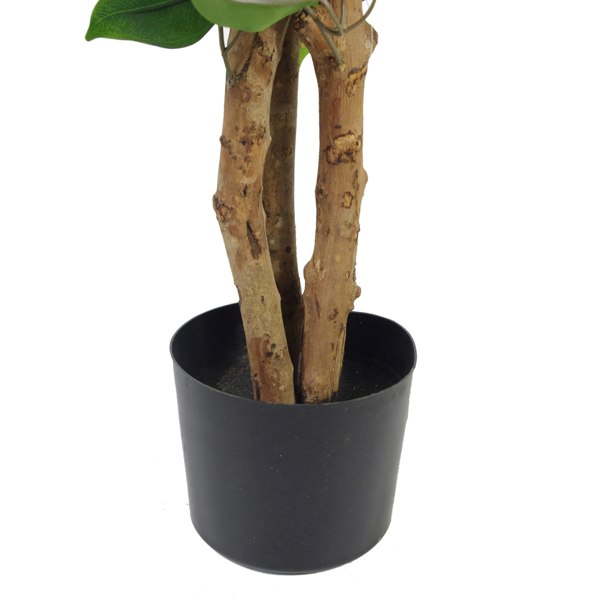 Leaf 90cm Artificial Evergreen Ficus Tree