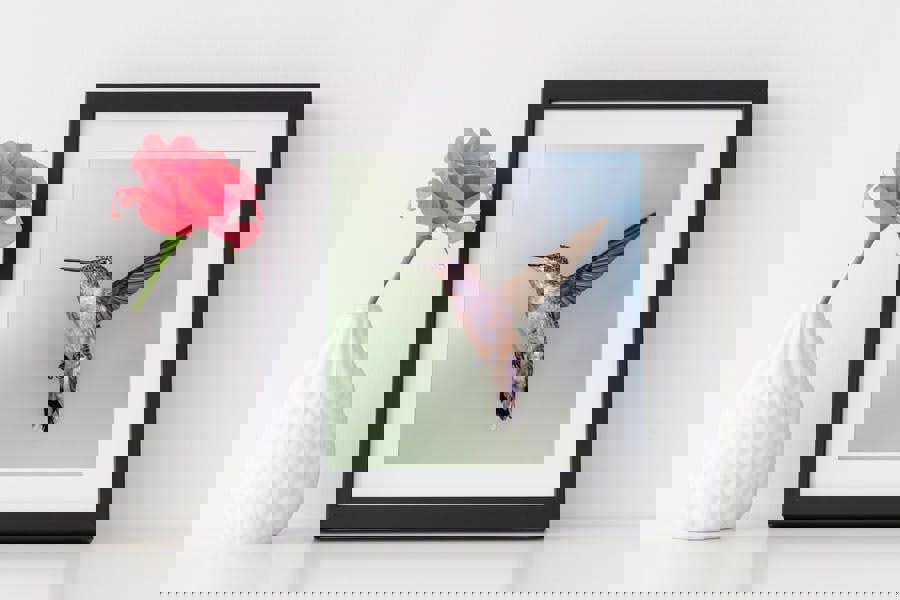 hummingbird wall art framed print