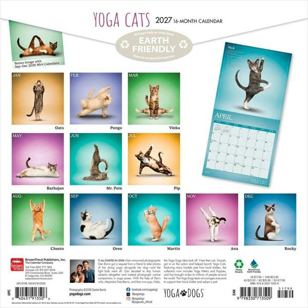 Yoga Cats Calendar 2027, Wall Calendars, Month To View, Humour, Gift