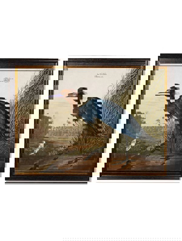 Exceptional Art c.1838 Audubon's Herons