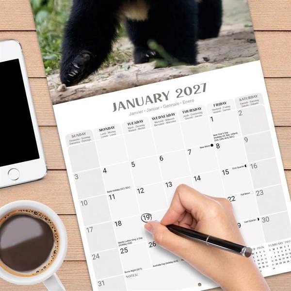 Pandas Calendar 2027, Wall Calendars, Month To View, Animals, Gift