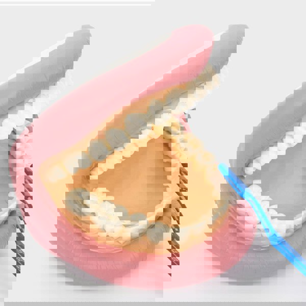 tickit Giant Teeth Demonstration Set