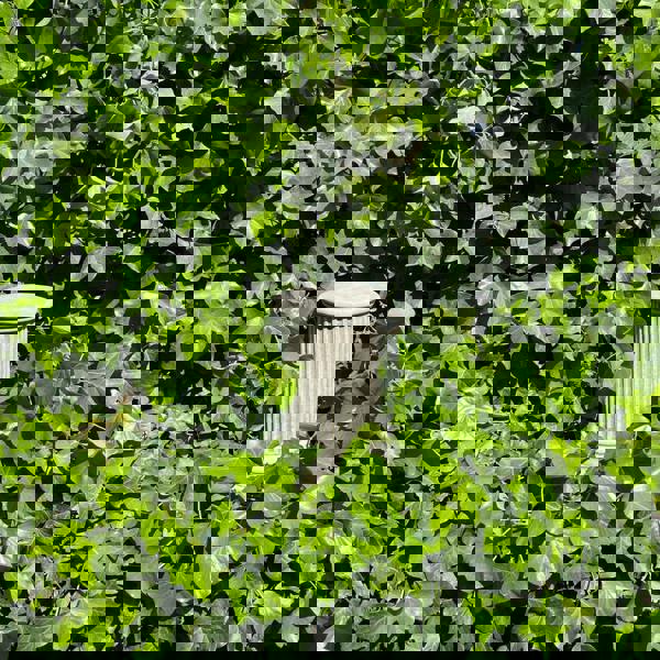 Simple Roman Style Short Pillar Column