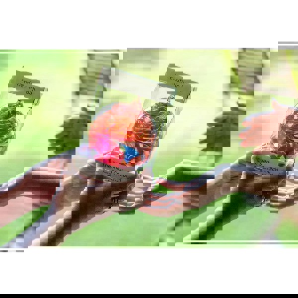 15cm Friendship Ball - Pastel Silver