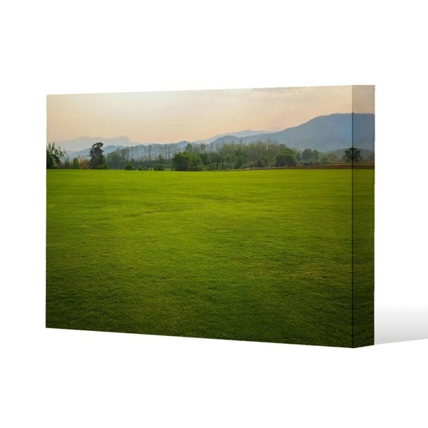 Benjamin Tate Design image of lush grass field Slim Style Canvas Print  70x100cm , 15mm Slim Real wood.