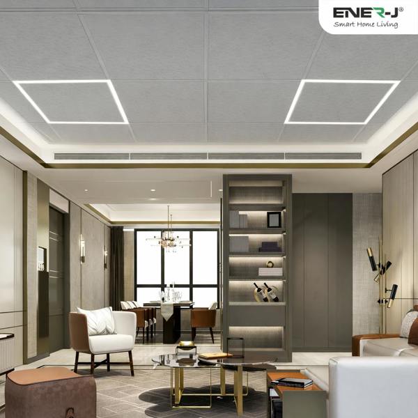 ENER-J 40W AGT No Flicker Driver for CCT Panels (Compatible with T301 & E115)
