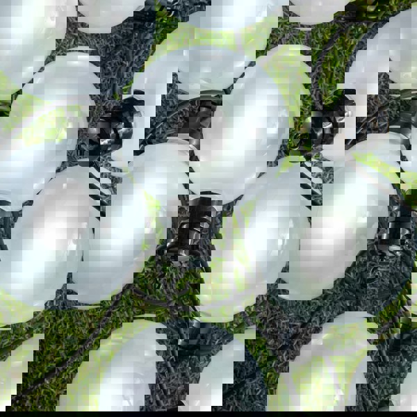 Samuel Alexander 4.5m Set of 10 Frosted Ball Style Cap String Lights with Filament in White