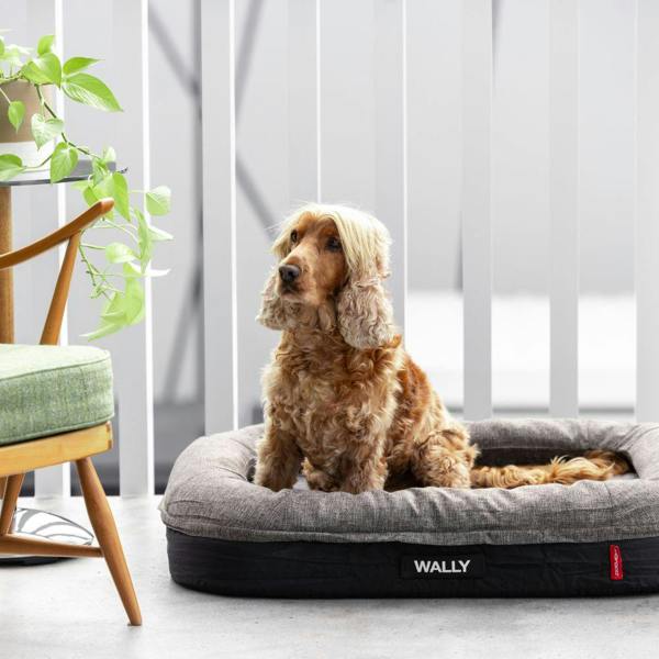 EzyDog Calm Elite Orthopaedic 2 in 1 Design Dog Bed