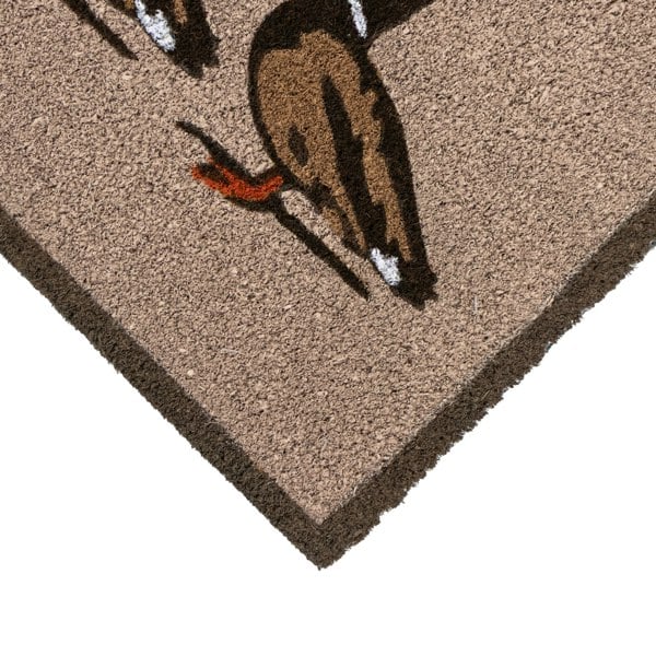 JVL Eco-Friendly Latex Backed Coir Entrance Doormat, 45x75cm - Ducks