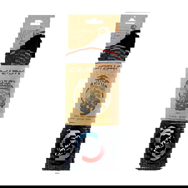 t4option1_2