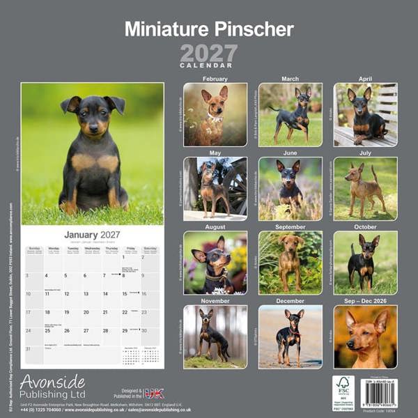 Miniature Pinscher Calendar 2027, Wall Calendars, Month To View, Dogs, Gift