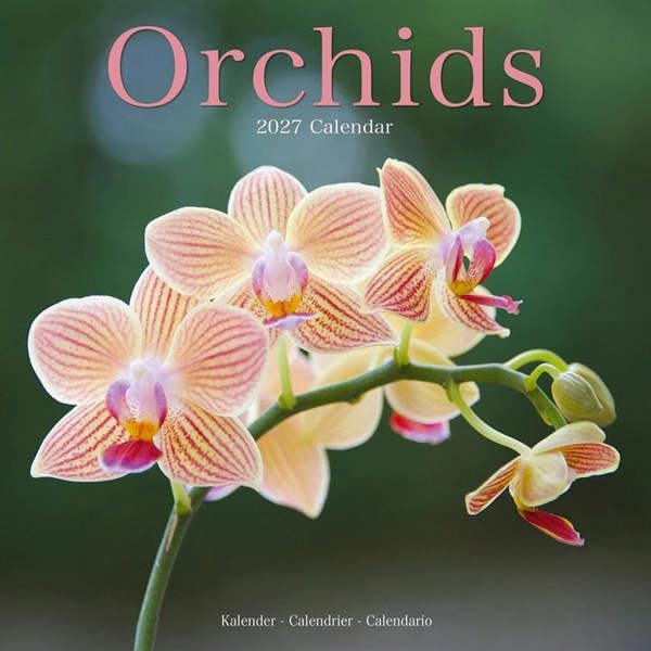 Orchids Calendar 2027, Wall Calendars, Month To View, Lifestyle, Gift