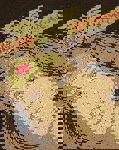 DC Comics Womens Brown Wonder Woman Short Sleeved T-Shirt