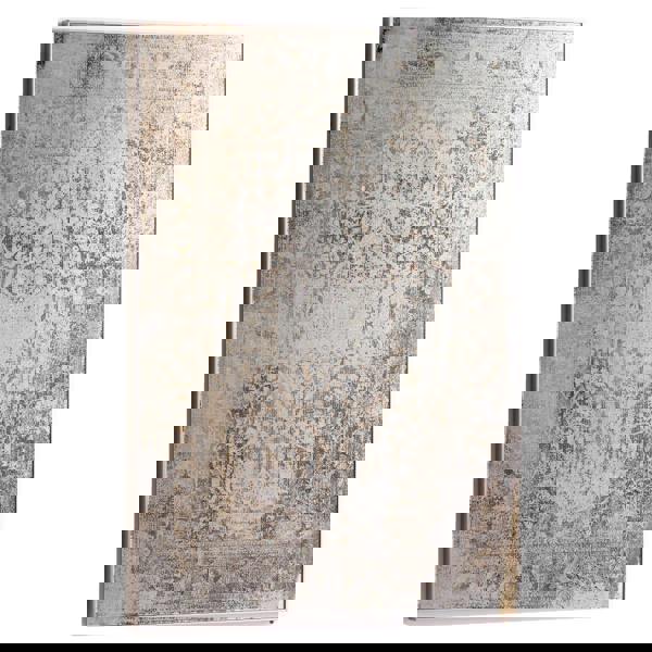 Hill Interiors Foxed Mirror Wall Art - Antique Silver