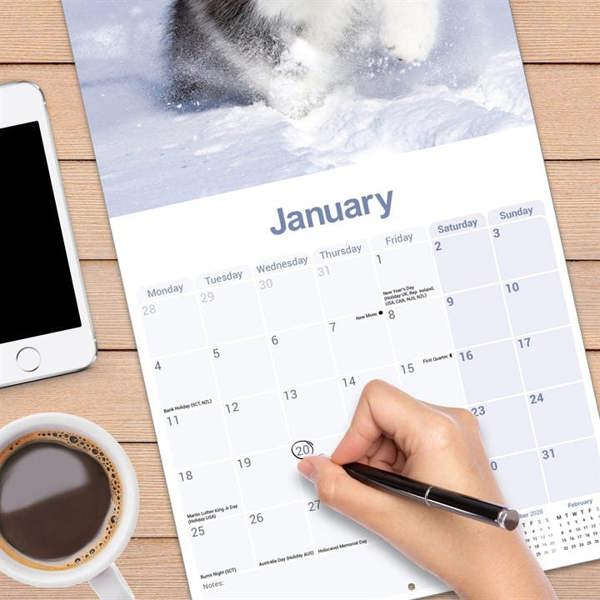 Alaskan Malamute Calendar 2027, Wall Calendars, Month To View, Dogs, Gift