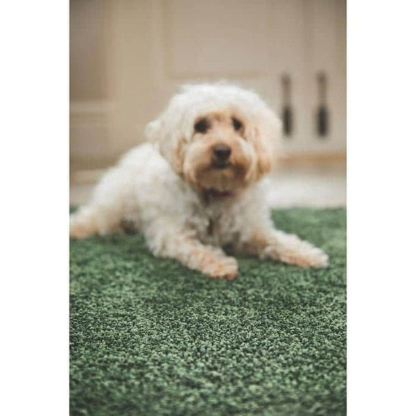 The Rugs Shaggy Washable Pet Range Mat | Eco-Friendly