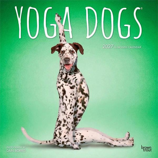 Yoga Dogs Calendar 2027, Wall Calendars, Month To View, Humour, Gift