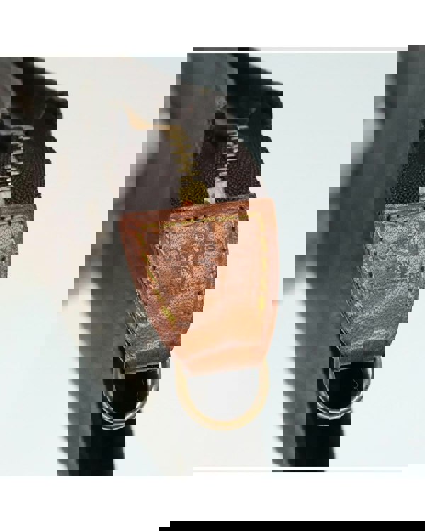 193985399.jpg