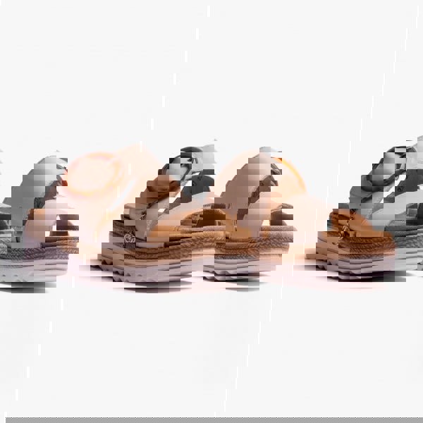 1677761688-40696200.jpg