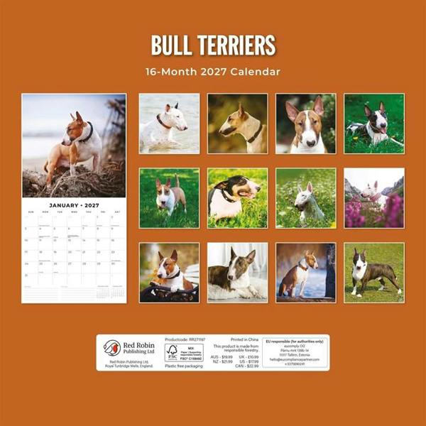 Bull Terriers Calendar 2027, Wall Calendars, Month To View, Dogs, Gift