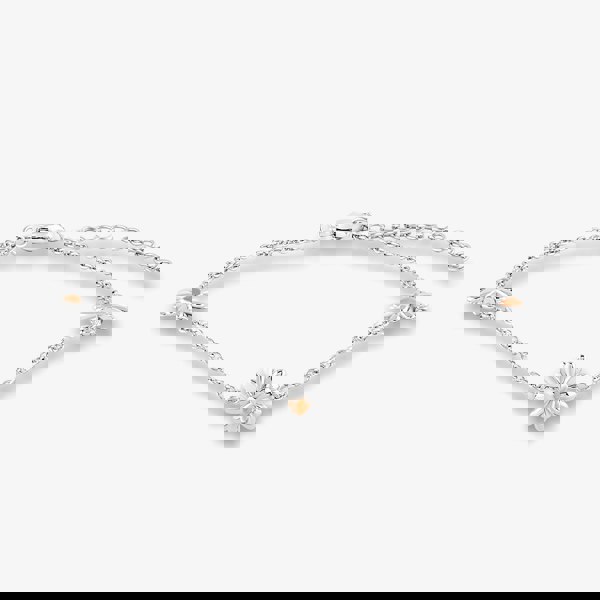 Rosa Lea Triple Daisy Bracelet AM-2THB028307